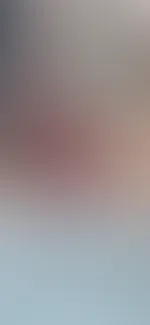 đ