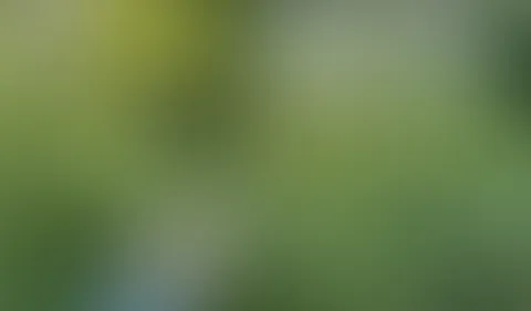 NACH DEM S****T MUSSTE ICH ECHT PULLERN