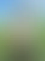 Ich trage nicht gerne BH