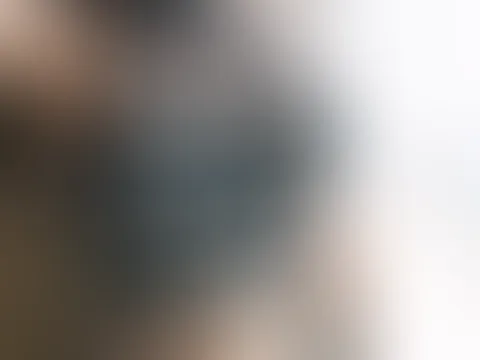 Das erwartet dich ..