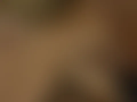 Was ein Blowjob wieder