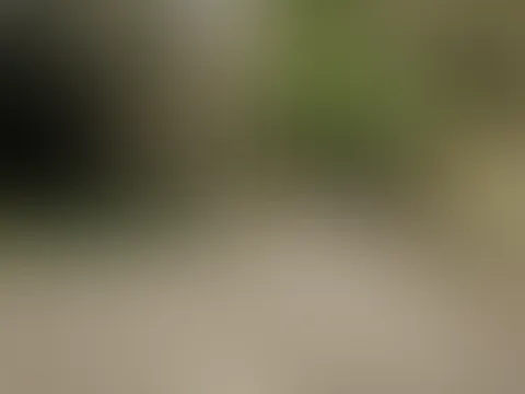 Wie die Titten wackeln