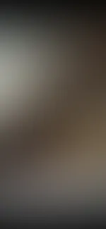A***h, Titten, P***y, Vibrator alles dabei