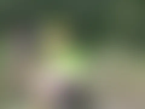 Orgasmisches Bullenreiten