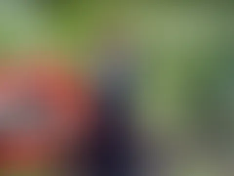 Mitten auf dem Wanderweg der P***y besorgt!