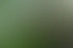 Holzi Holzi Holzi 18+