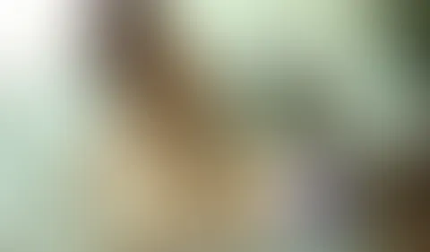 Was machen wir wohl den ganzen Tag in unserer geilen WG. Nun hier ein kleiner Vorgeschmack. Wir können unsere F****r einfach nicht voneinander lassen.