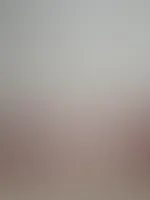 đ Feed-Edition đ
