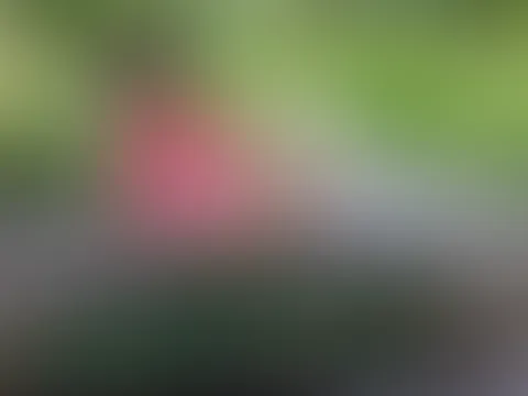 2025
