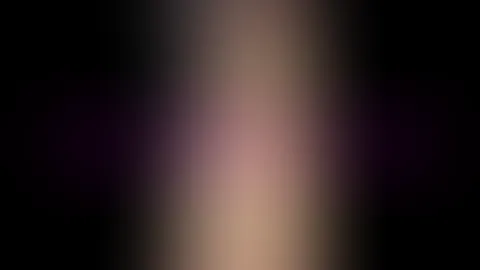 S****t in an evening gown