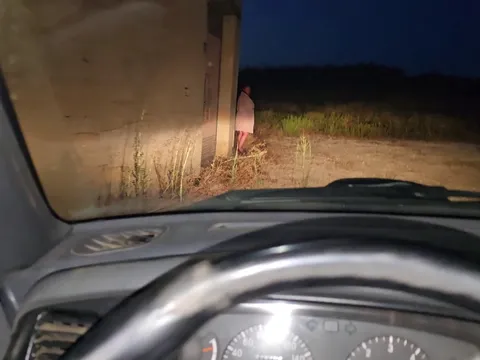 Slut sucks you off in your car