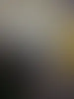 Unterwegs zur Hochzeit der Besten
