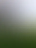 Guten Morgen