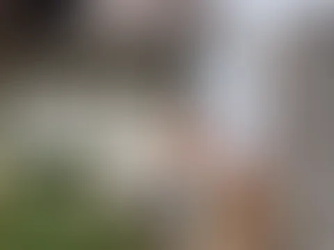 Man ey ich ❤️es Grünzeug🫛🍅😈🥦