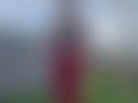 Einen schönen Feiertag wünscht Dir LENA .... wenn Du Lust hast, ich bin gern für Dich da