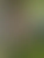 Hey, hattest du einen schönen Tag?