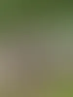Hey, schon geile Pläne fürs Wochenende?