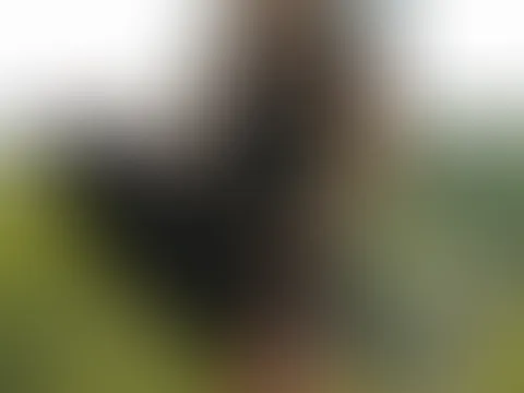 Auf der Terrasse, wo uns alle sehen können? 😏😘