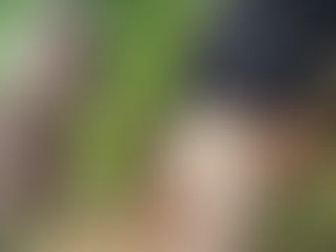 Mein Tag in Bildern , erwischt beim Ns , dann angep**st worden & Blowjob -> C*****t Fresse …. Herrlich