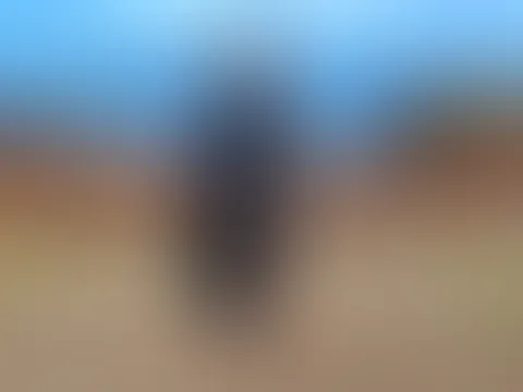Bilder aus den Ferien 2025
