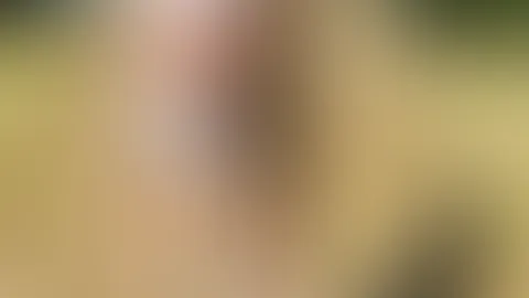 A little taster