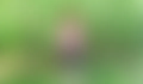 Gib mir deinen dicken Kolben!