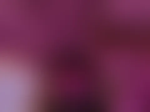 Geleckt gefingert worden bis zum s****t 🤤🤤