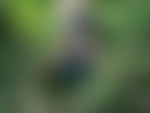 Draußen wird es warm und was kann da getan werden? Ausziehen!... sieh mir zu!