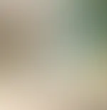 đ