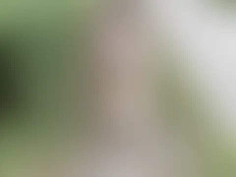 Gehst du auch mal mit mir spazieren ? 😜