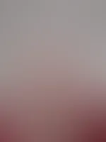 #popoðŸ¤