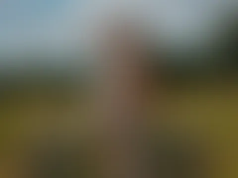 Etwas Spaß auf dem Strohballen? 😏