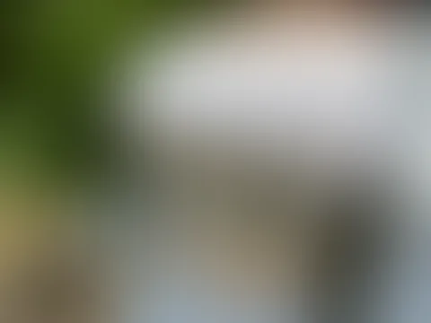 Boobs wackeln im Wald🍒🌳