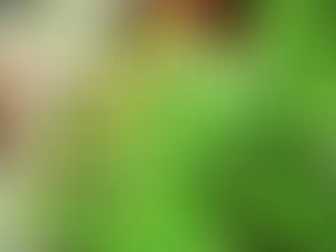Wollen wir verstecken spielen?