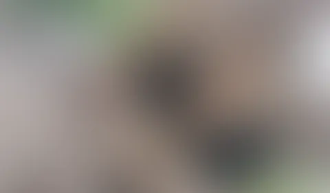 Bisschen Entspannung bei der Hitze🥵