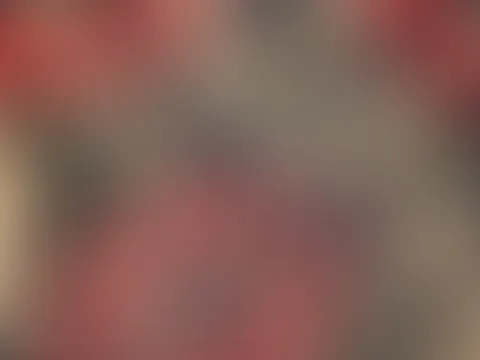 Süßes 🙈