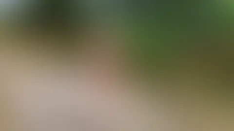 Auszeit auf dem Feldweg... 🌲🔥