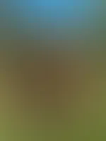 Durch dieses Wetter wird man einfach ständig heiß und man hat unbändige Lust! Was man nicht alles anstellen könnte… 🥵
