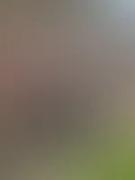 Schaut gerne mal vorbei