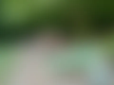 Mit nackten Brüsten und im Strumpfdessous liege ich auf dem Picknicktisch bereit…was stellst du als erstes mit mir an?