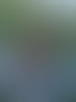 Im Feed sind noch viele weitere BilderðŸ¤