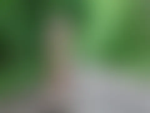 Bei meiner Public Rastplatz-Aktion für jedermann (vom vergangen Dienstag), habe ich wirklich wieder jeden S*****z geblasen und von jedem S****a sowie P**se geschluckt💦  Dabei wurde ich auch von denen