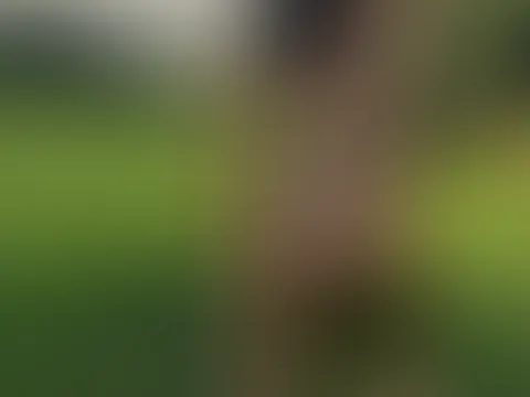 Es war so schön 😜
