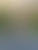 Hier nochmal ein unzensiertes🥵😘 Ja das Spielzeug das Schwarze wurde noch ausgiebig benutzt😈
