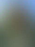Heute nochmal die letzten Sonnenstrahlen genießen