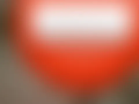 ❗️SPECIAL VIDEO❗️
