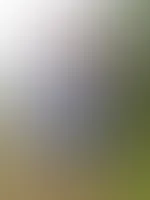 Nach meinem Video hab ich gleich noch ein paar Fotos gemacht. Hoffe sie gefallen Euch!