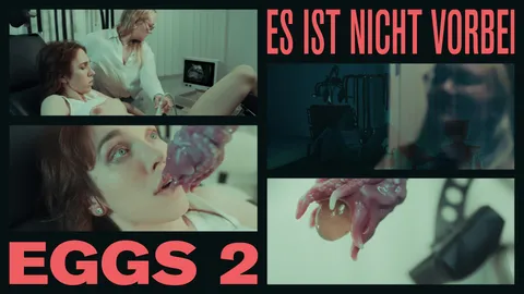 EGGS 2 – it’s not over yet!