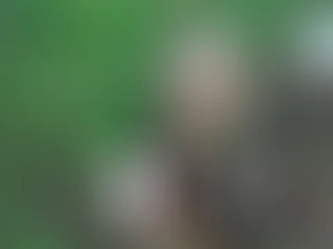 NATURsekt