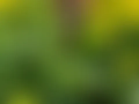 Hast du Lust mit mir ins Feld zu kommen? 😜
